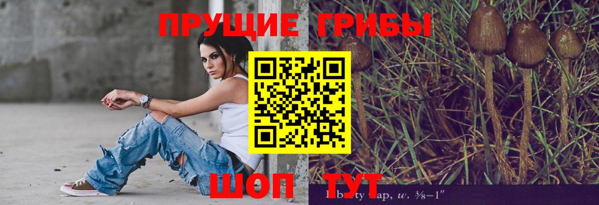 Галлюциногенные грибы прущие грибы Котлас