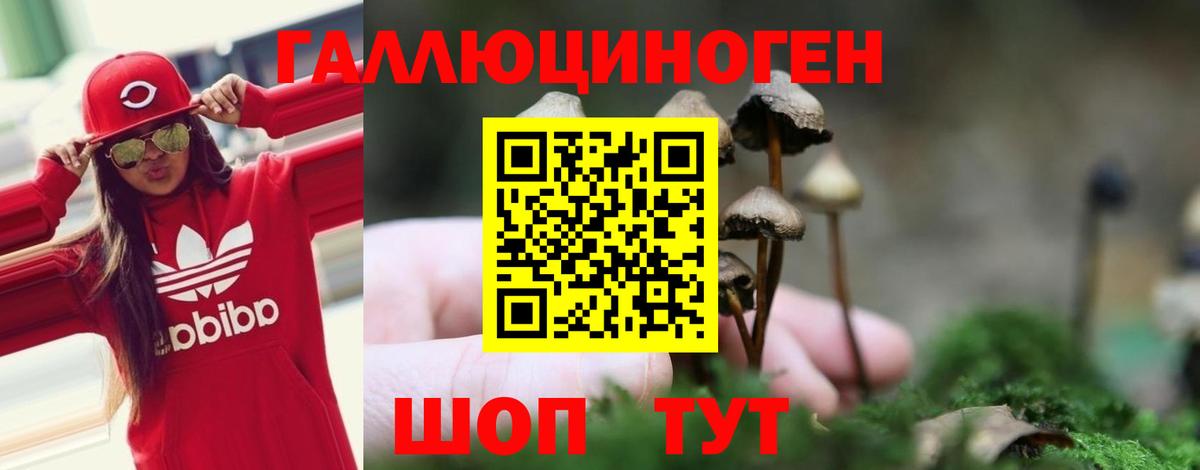 купить наркоту  Псилоцибиновые грибы Magic Shrooms  Вход с VPN  Котлас  Галлюциногенные грибы прущие грибы 